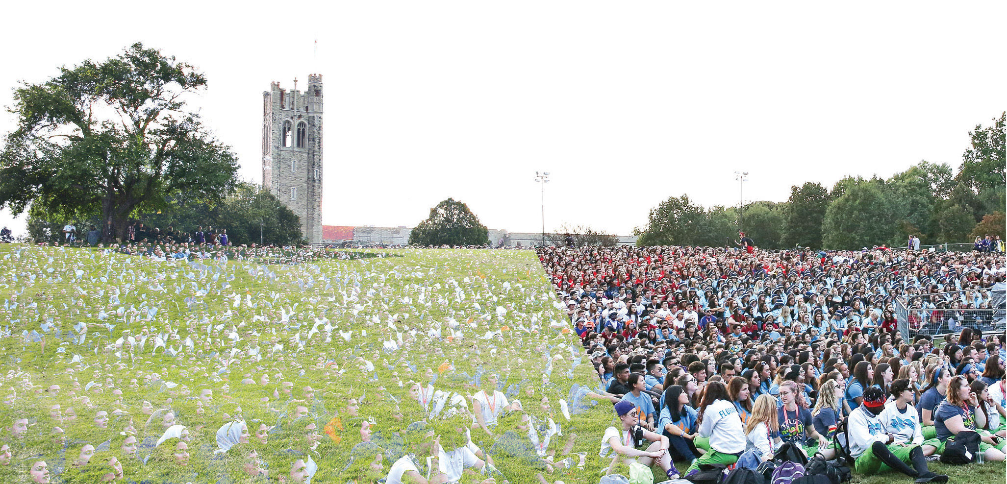 UCC Hill - Before / After O-Week (Main photo)